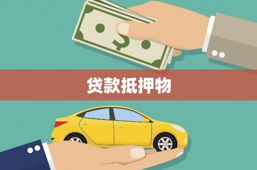红星贷款抵押物