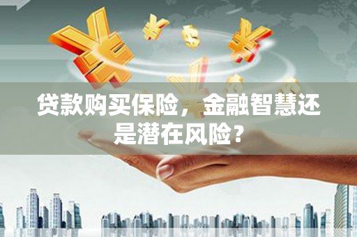 红星贷款购买保险，金融智慧还是潜在风险？