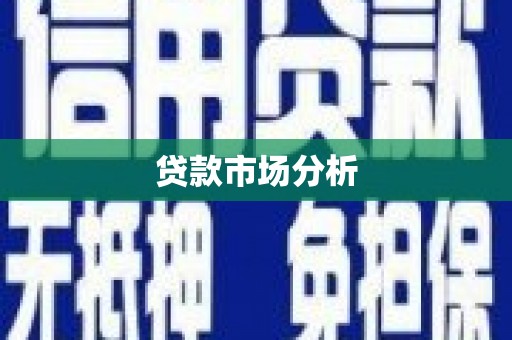 红星贷款市场分析