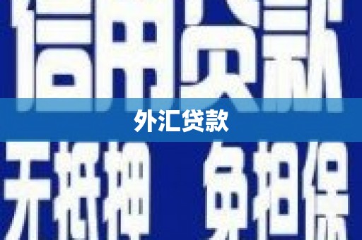 红星外汇贷款