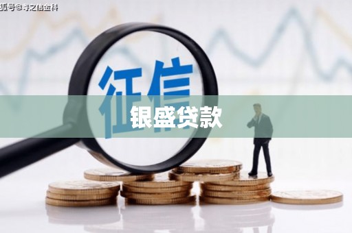 红星银盛贷款