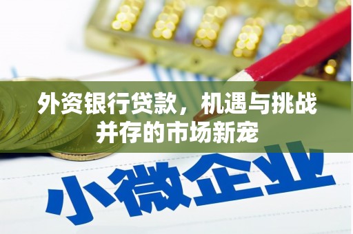 红星外资银行贷款，机遇与挑战并存的市场新宠