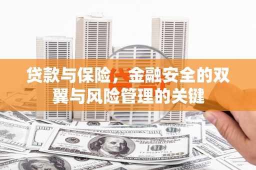 红星贷款与保险，金融安全的双翼与风险管理的关键