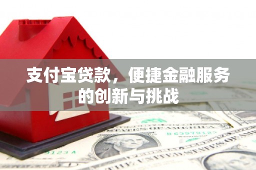 红星支付宝贷款，便捷金融服务的创新与挑战
