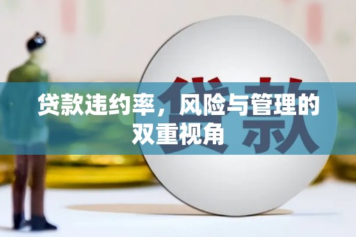 红星贷款违约率，风险与管理的双重视角