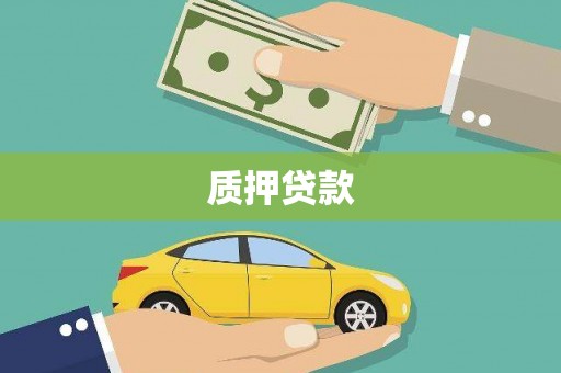 红星质押贷款