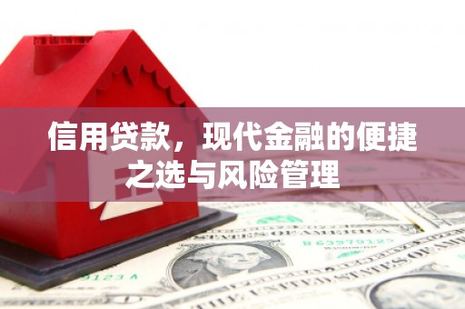 红星信用贷款，现代金融的便捷之选与风险管理