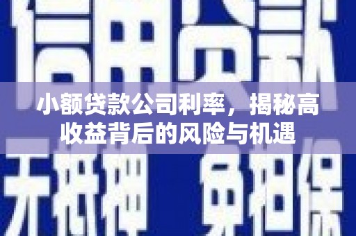 红星小额贷款公司利率，揭秘高收益背后的风险与机遇