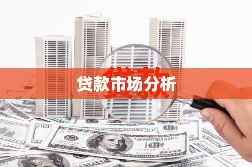 红星贷款市场分析