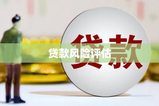 红星贷款风险评估