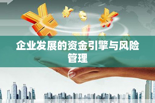 红星企业发展的资金引擎与风险管理