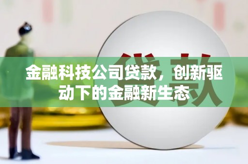 红星金融科技公司贷款，创新驱动下的金融新生态