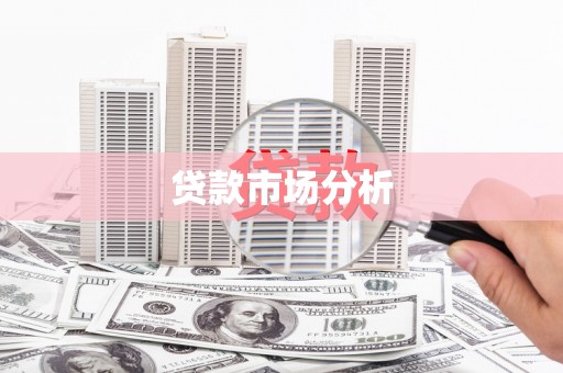 红星贷款市场分析