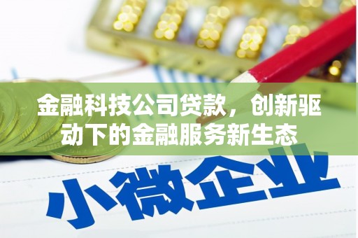 红星金融科技公司贷款，创新驱动下的金融服务新生态