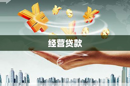 红星经营贷款