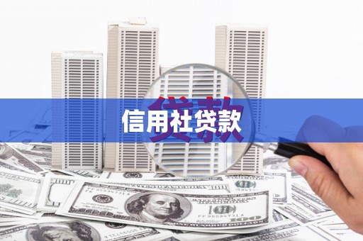 红星信用社贷款
