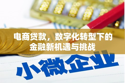 红星电商贷款，数字化转型下的金融新机遇与挑战