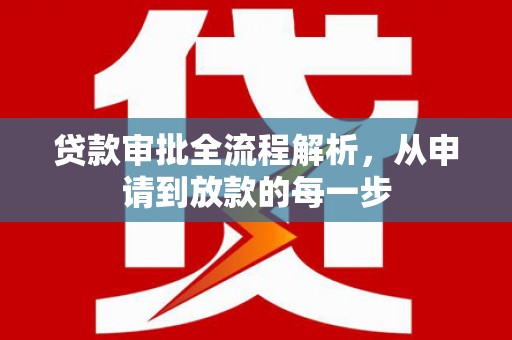 红星贷款审批全流程解析，从申请到放款的每一步