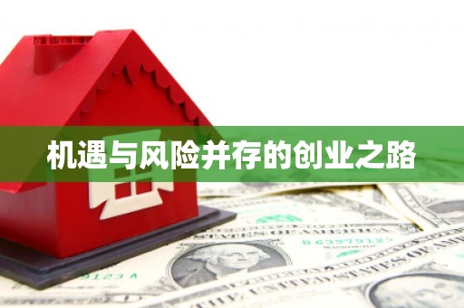 红星机遇与风险并存的创业之路