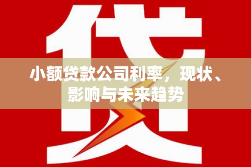 红星小额贷款公司利率，现状、影响与未来趋势