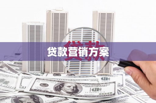 红星贷款营销方案