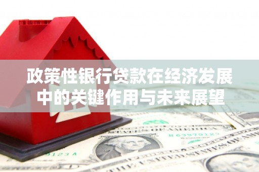 红星政策性银行贷款在经济发展中的关键作用与未来展望
