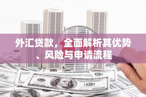 红星外汇贷款，全面解析其优势、风险与申请流程