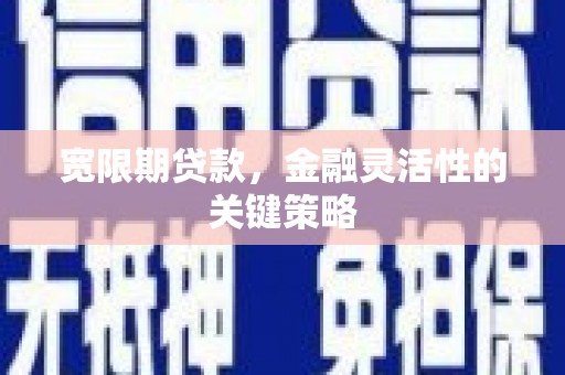 红星宽限期贷款，金融灵活性的关键策略