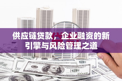 红星供应链贷款，企业融资的新引擎与风险管理之道