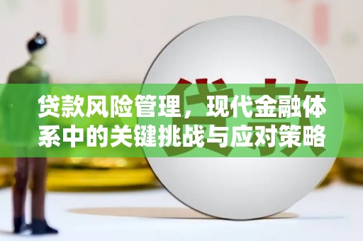 红星贷款风险管理，现代金融体系中的关键挑战与应对策略