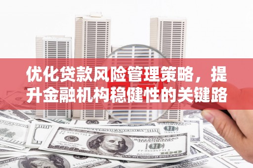 红星优化贷款风险管理策略，提升金融机构稳健性的关键路径