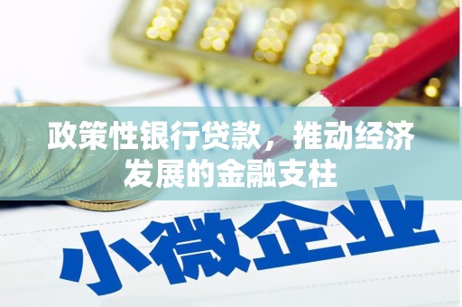 红星政策性银行贷款，推动经济发展的金融支柱