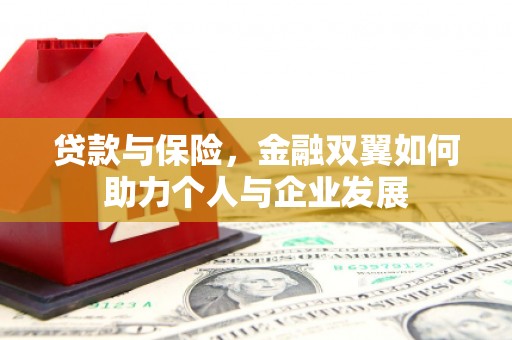红星贷款与保险，金融双翼如何助力个人与企业发展