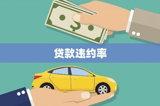红星贷款违约率