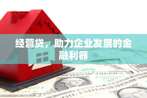 红星经营贷，助力企业发展的金融利器