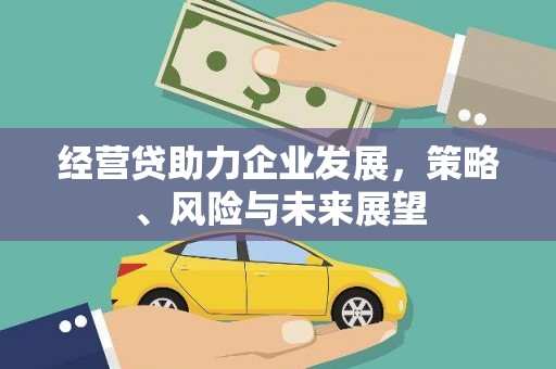 红星经营贷助力企业发展，策略、风险与未来展望