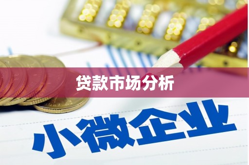 红星贷款市场分析