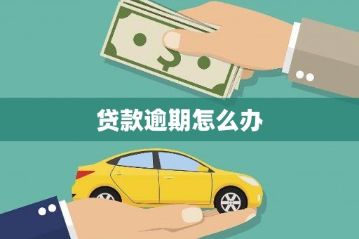 红星贷款逾期怎么办