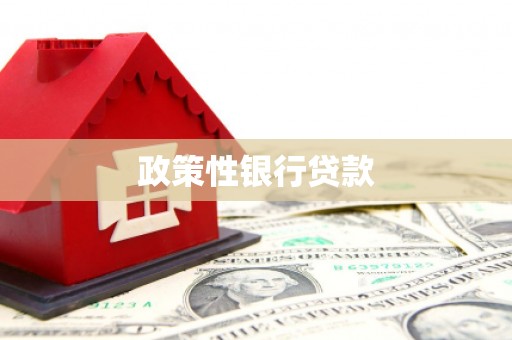 红星政策性银行贷款