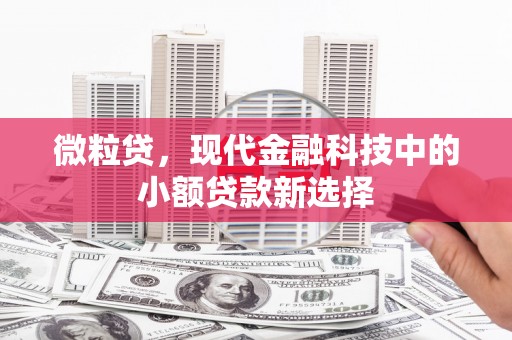 红星微粒贷，现代金融科技中的小额贷款新选择