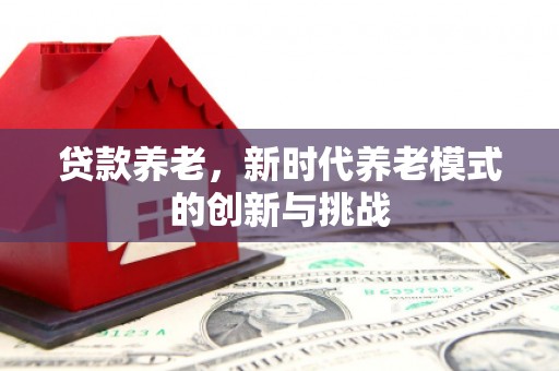 红星贷款养老，新时代养老模式的创新与挑战