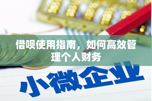 红星借呗使用指南，如何高效管理个人财务