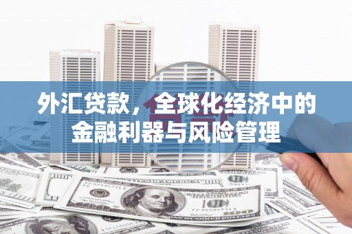 红星外汇贷款，全球化经济中的金融利器与风险管理