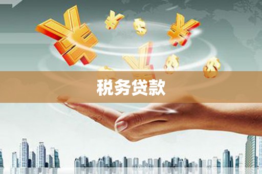 红星税务贷款