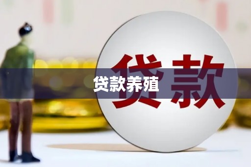 红星贷款养殖