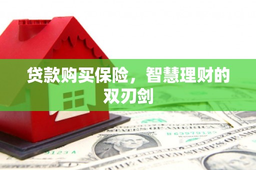 红星贷款购买保险，智慧理财的双刃剑