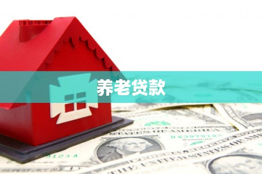 红星养老贷款