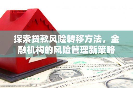 红星探索贷款风险转移方法，金融机构的风险管理新策略