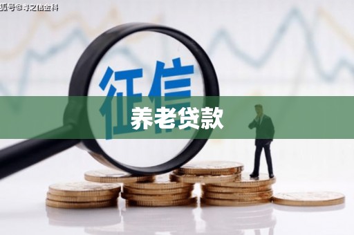 红星养老贷款