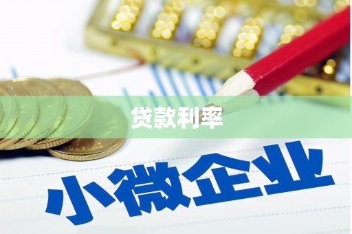 红星贷款利率